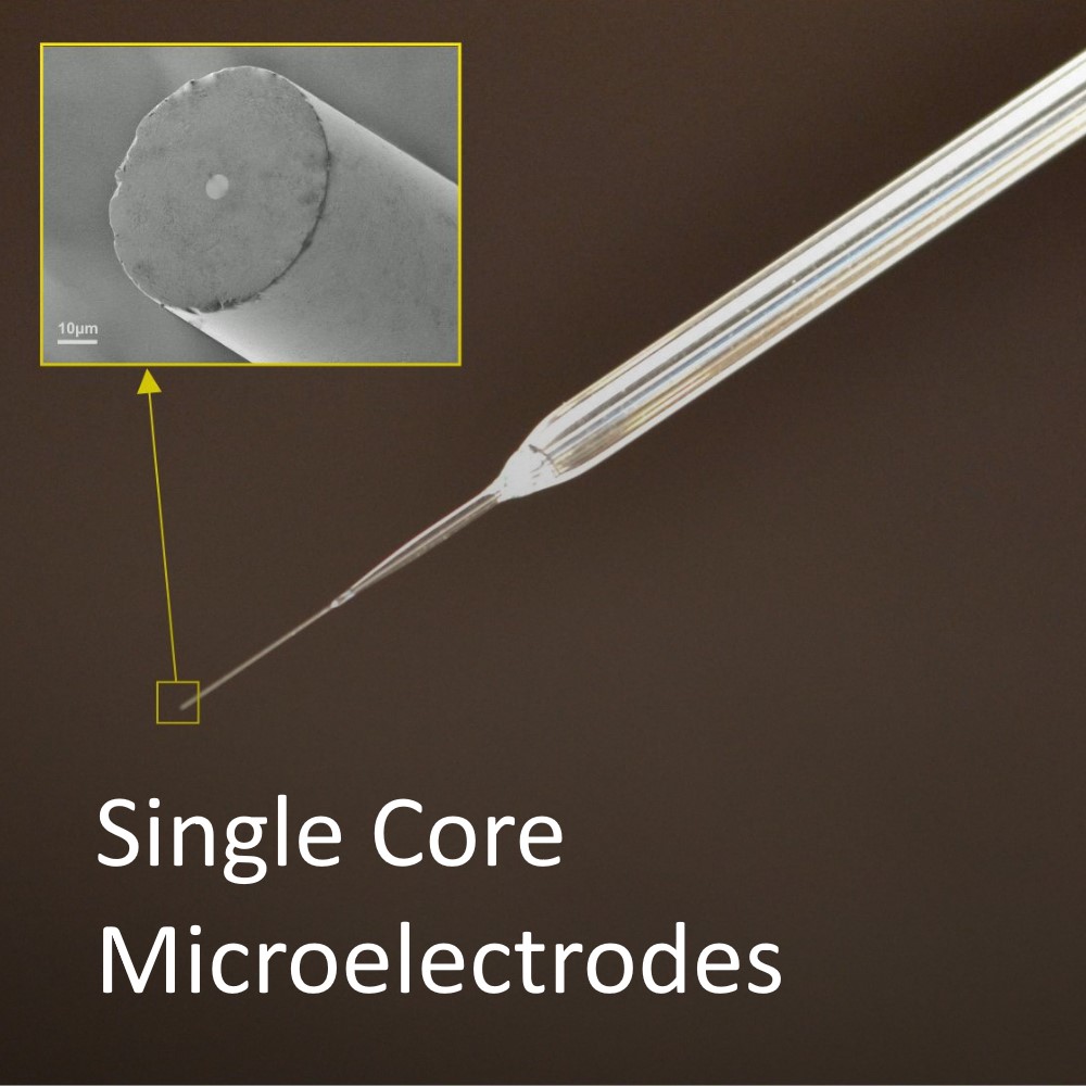 ElectrochemicalMicroelectrodes Image1