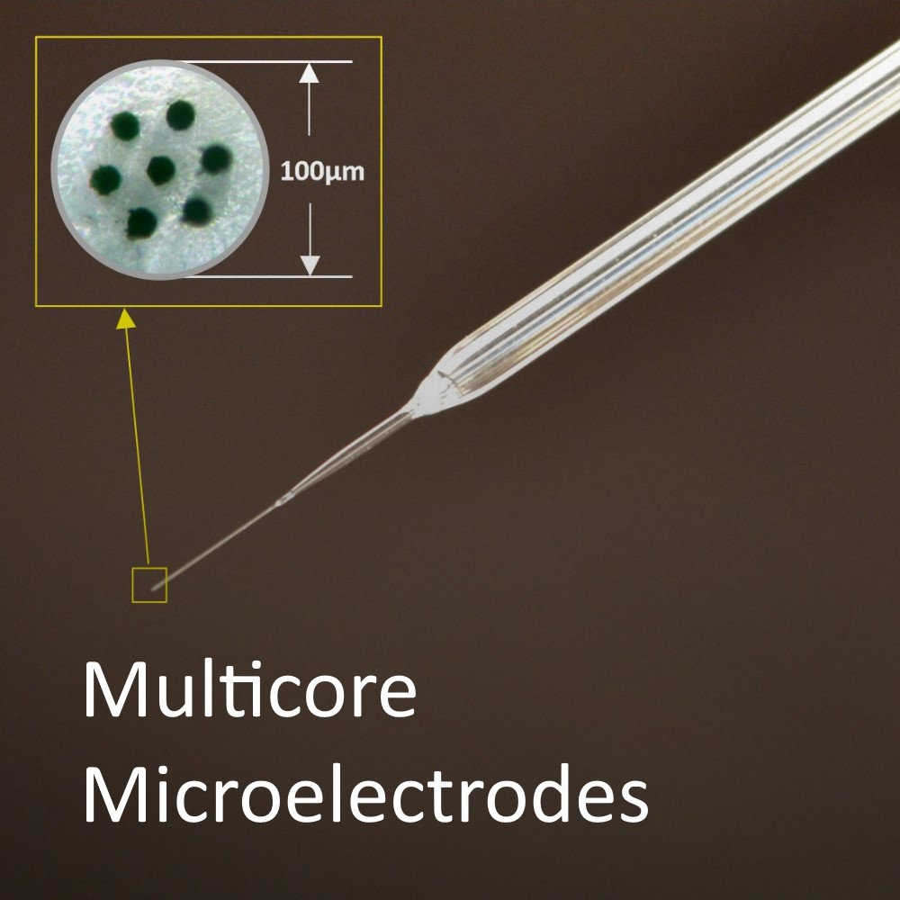 ElectrochemicalMicroelectrodes Image2