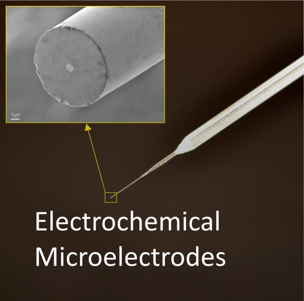 ElectrochemicalProducts Image1