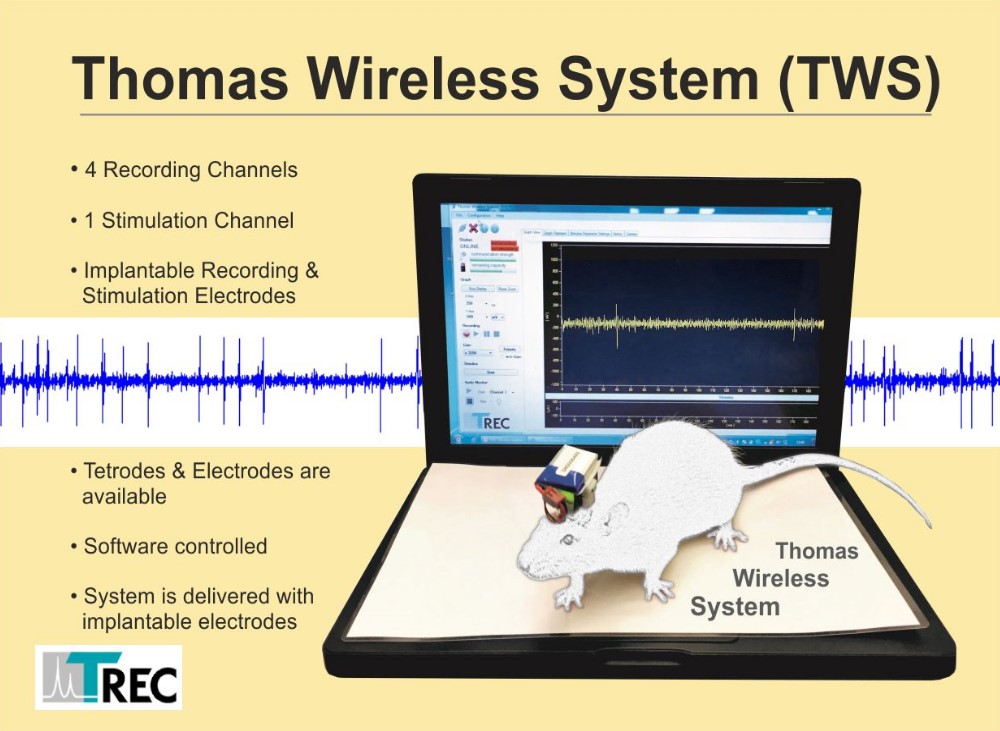 ThomasWirelessSystem Image1