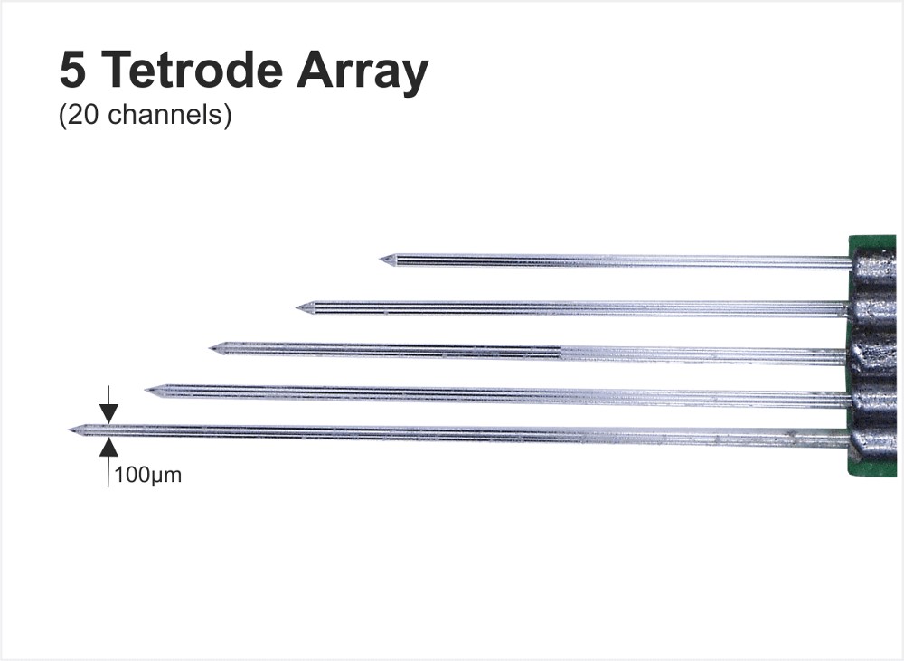 ArrayElectrodes Image2
