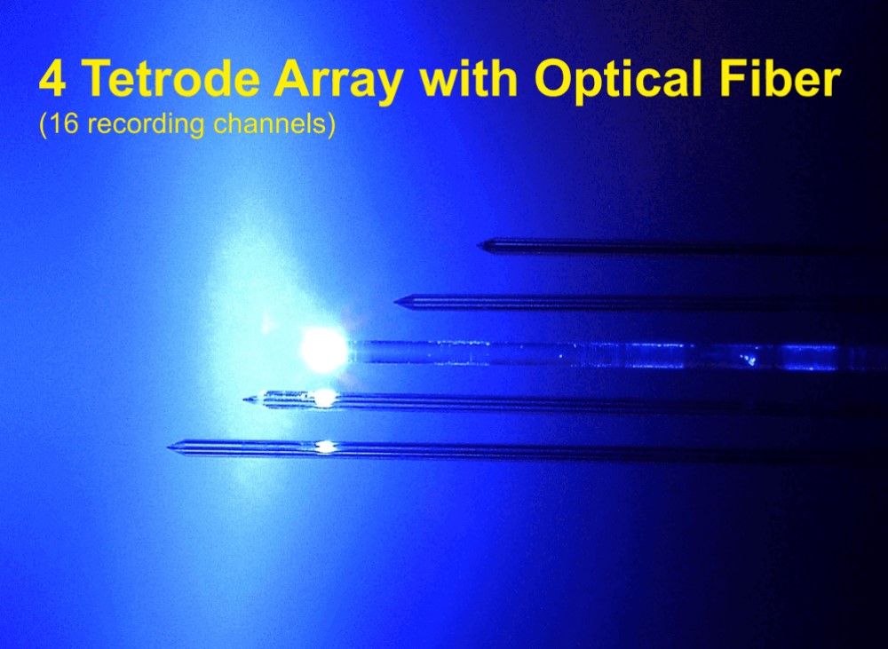 ArrayElectrodes Image3