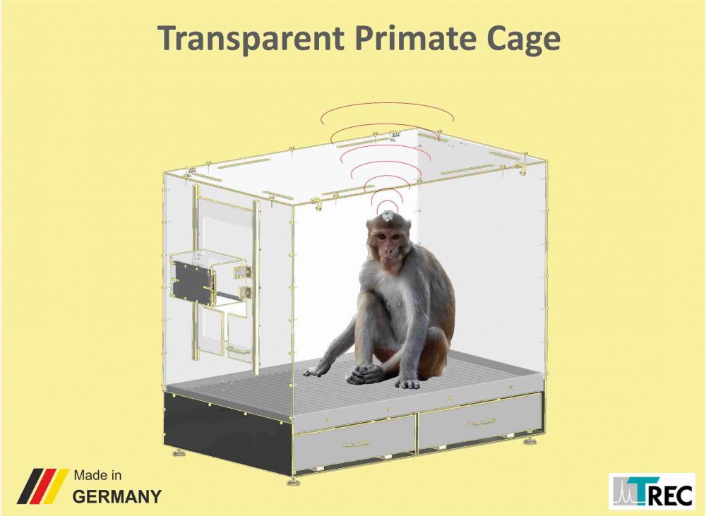 Transparent Cage Webseite Bild1