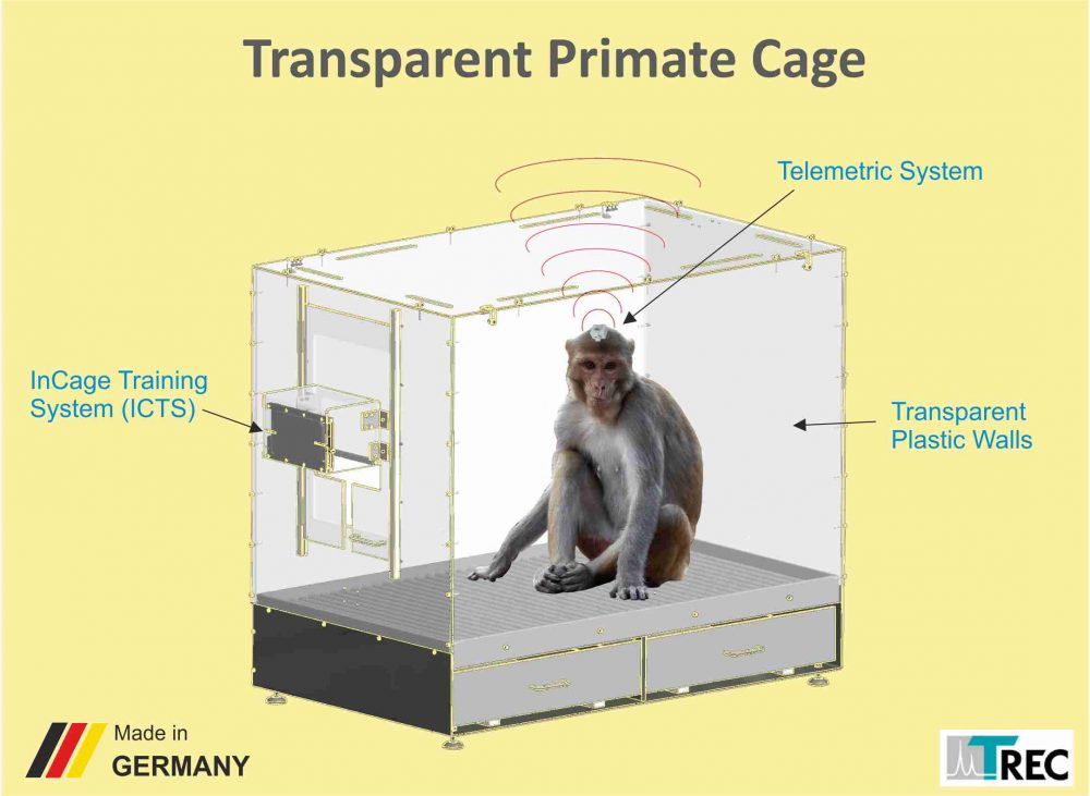 Transparent Cage Webseite Bild2