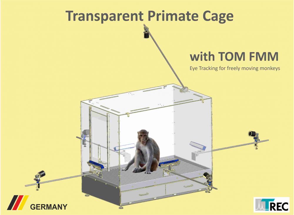 Transparent Cage Webseite Bild3