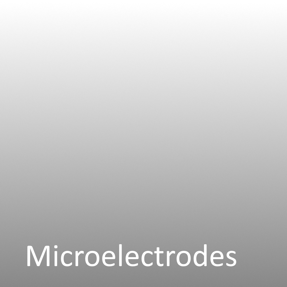 Microelectrodes Verlauf